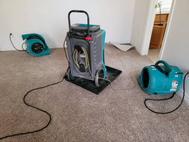 Best Fire Damage Restoration  in Lancaster, WI